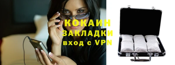 дживик Алзамай