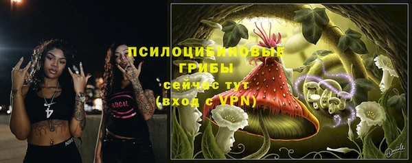 дживик Алзамай