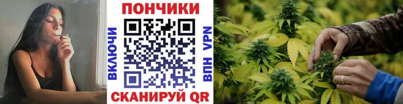 Бошки марихуана тримм  что такое наркотик  Берёзовский 